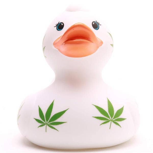 Canard Feuille de Chanvre