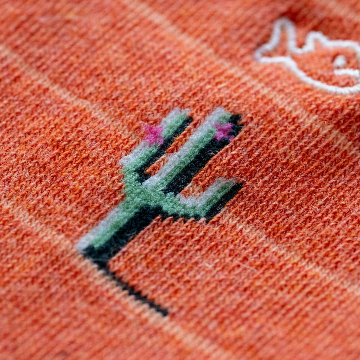 Chaussettes Cactus