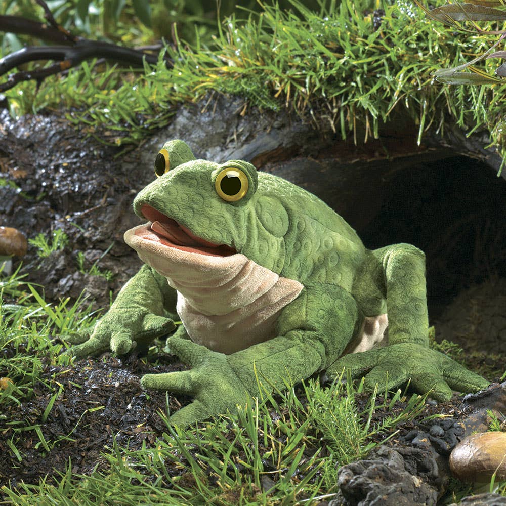 Marionnette à main Crapaud 3099/ Crapaud Folkmanis réaliste
