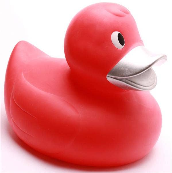 Canard Rouge XXL