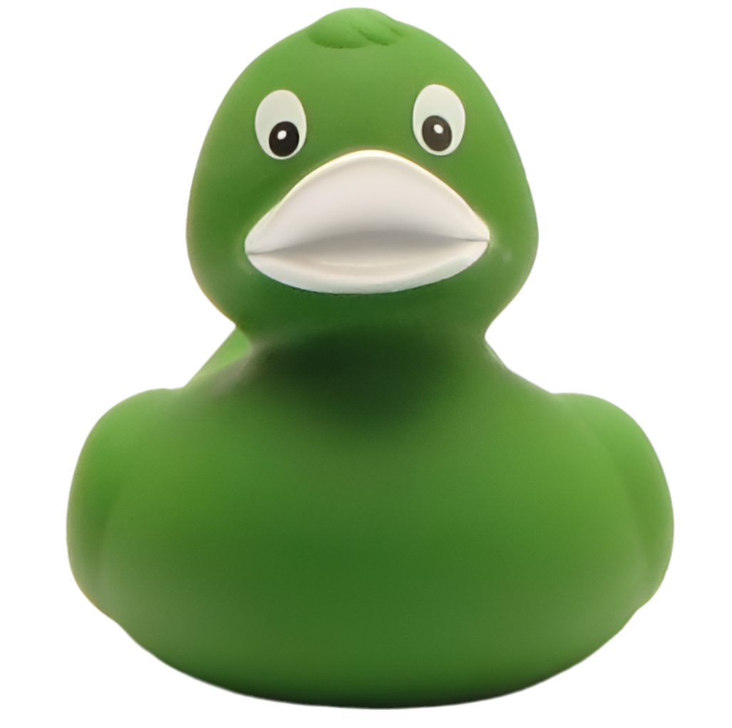 canard classique vert 1