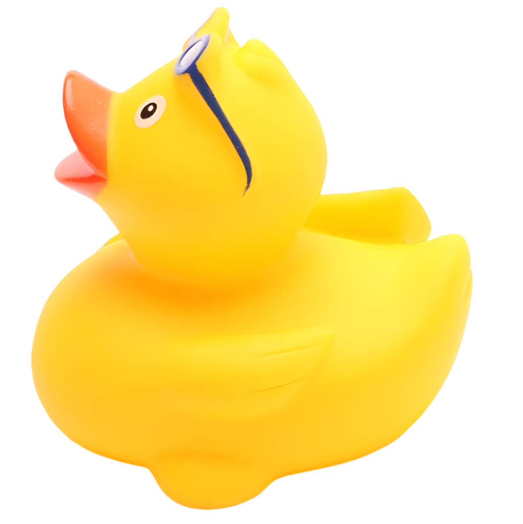 canard surfeur duckshop 