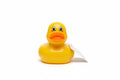 Canard qui roule n’amasse pas mousse