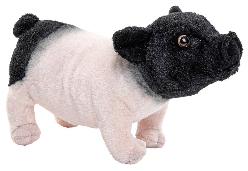 Swabian-Hällisches Landschwein - peluche Uni Toys