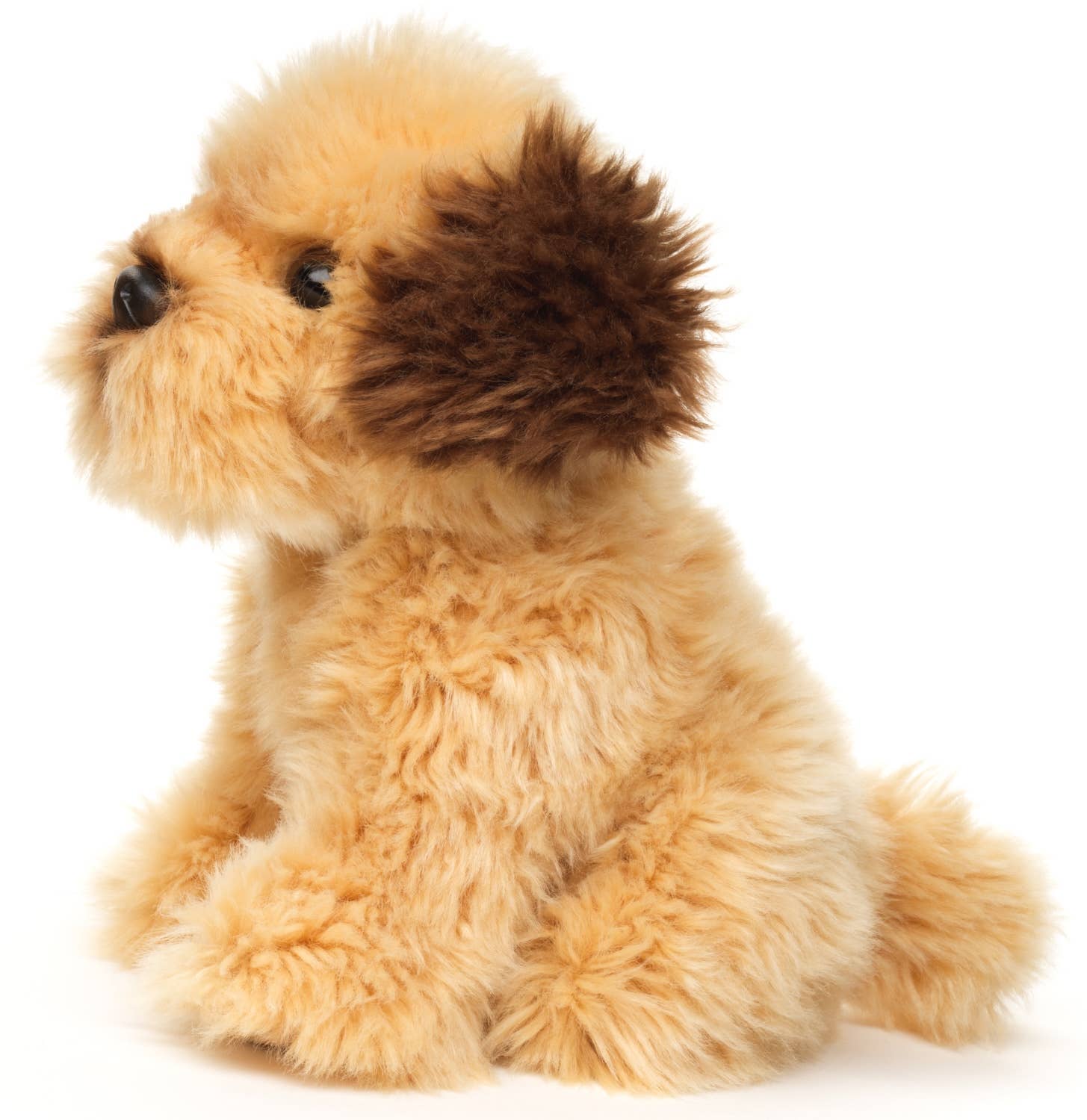 Peluche Shih Tzu Doodle, assis Uni Toys