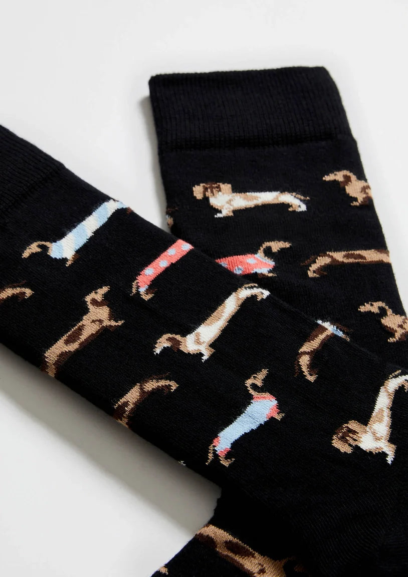 Chaussettes BePets - Teckels