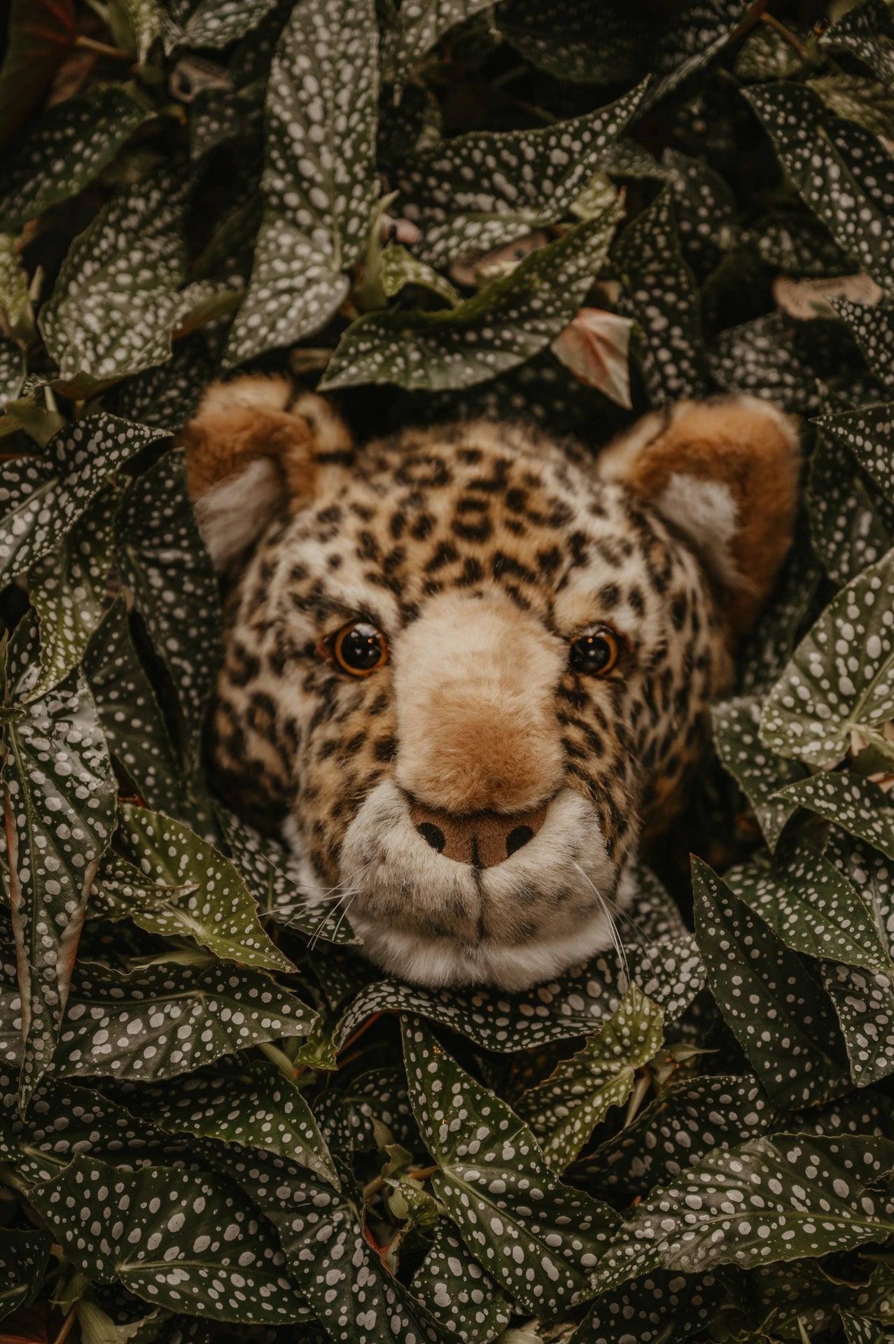 Charlie le Léopard : Déco murale - Tête moyenne - Wild & Soft