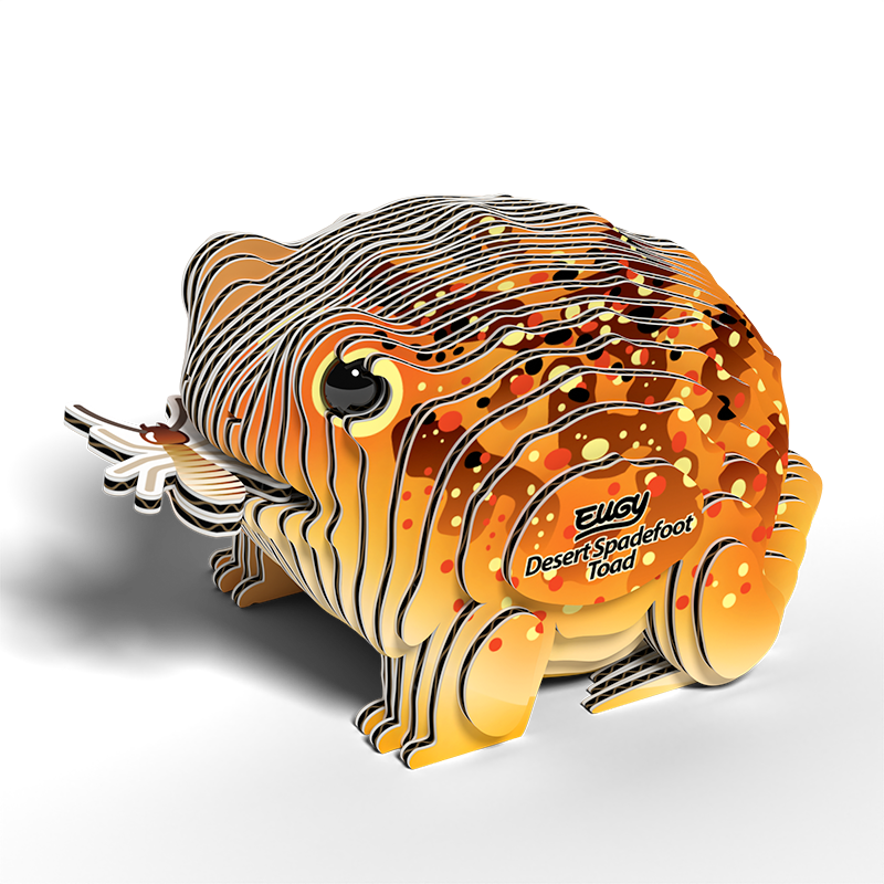 eugy 117 desert spadefoot toad