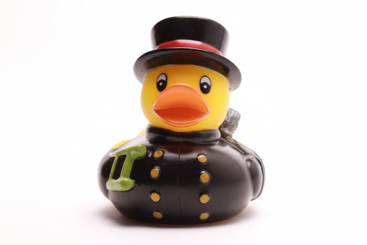 Canard Ramoneur