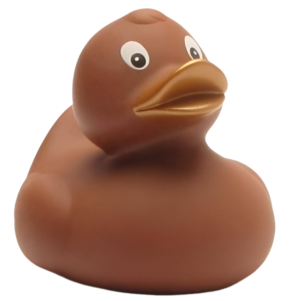 canard classique marron