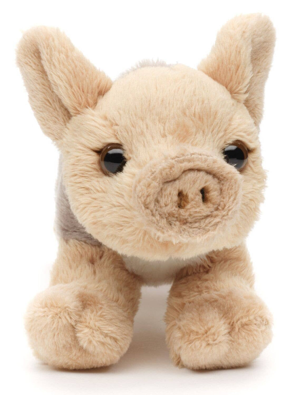 Peluche Marcassin Uni Toys