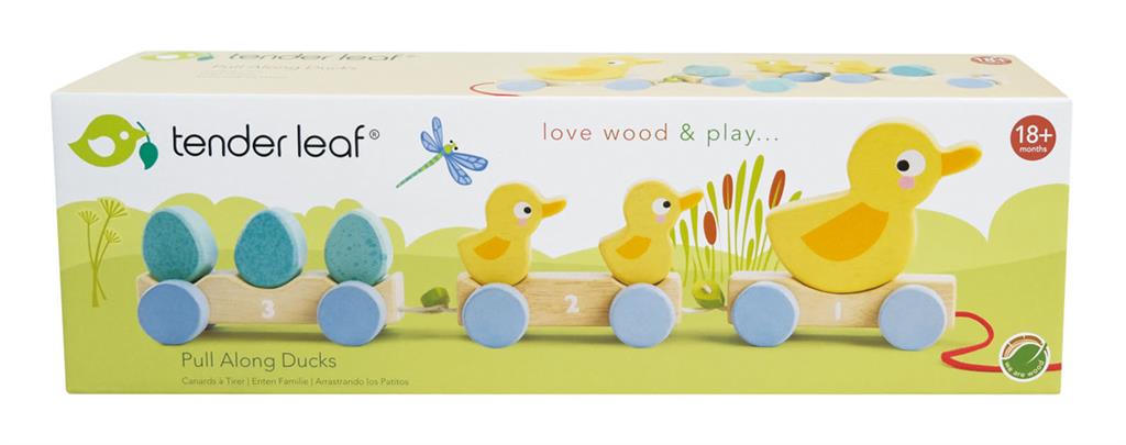 Familie Nachzieh-Ente
