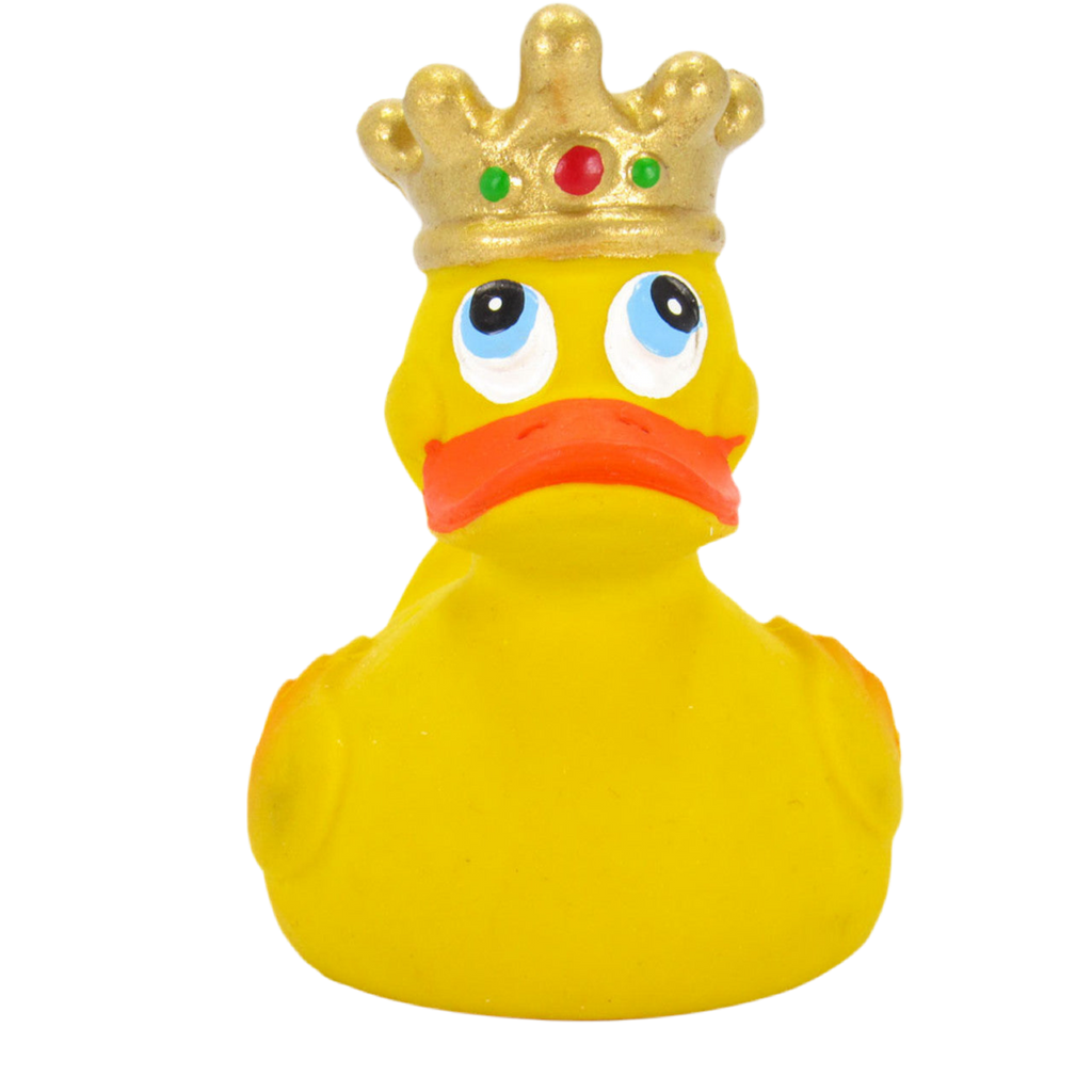 Canard Roi