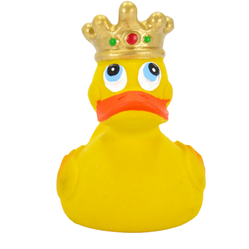 Canard Roi