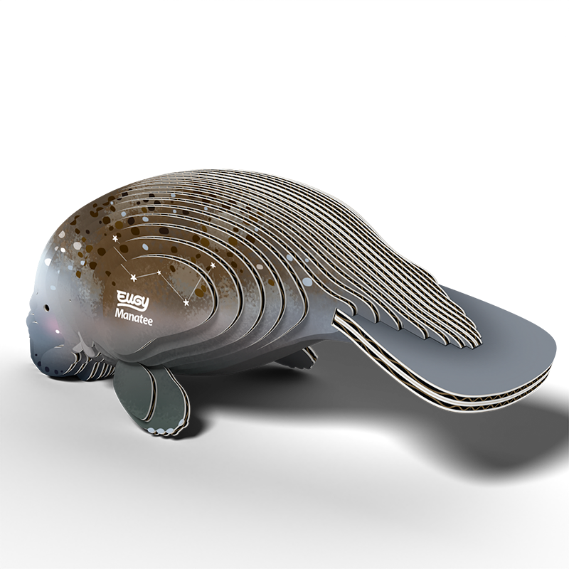 eugy 122 manatee