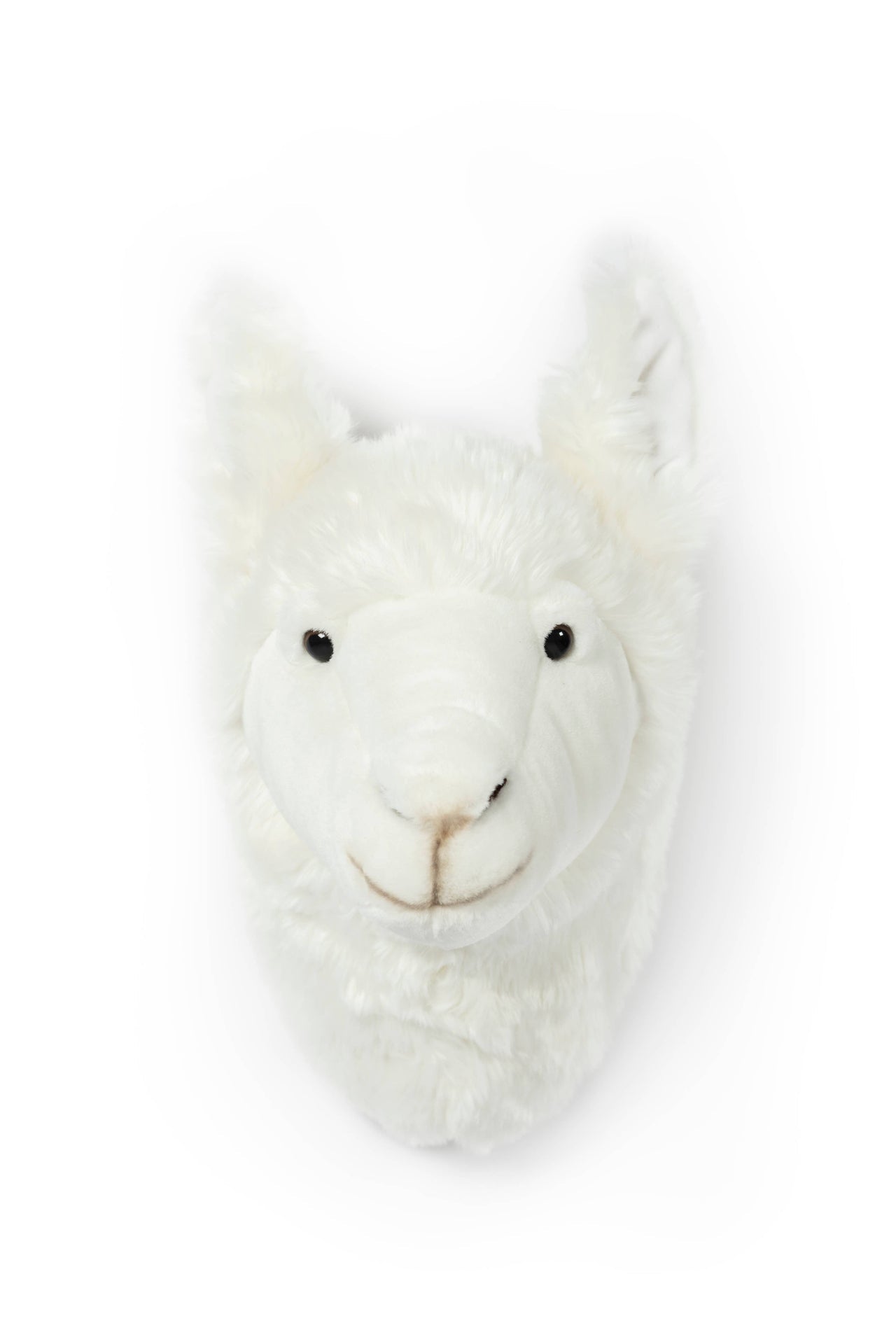 Décoration Murale Peluche Lily le lama - Wild & Soft
