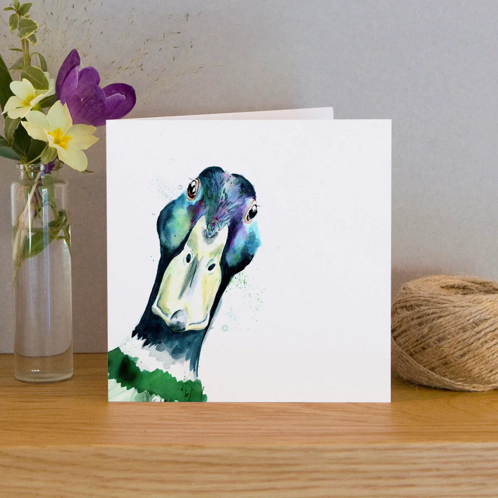 carte de voeux aquarelle canard colvert kate moby 46627148