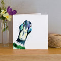 carte de voeux aquarelle canard colvert kate moby 46627148