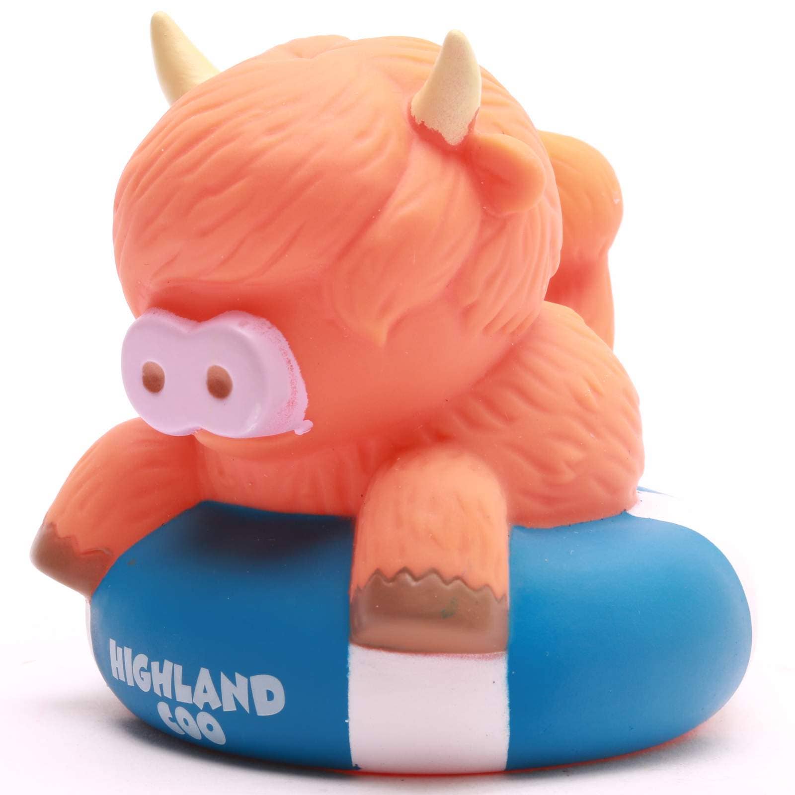 Highland-Kuh auf Boje