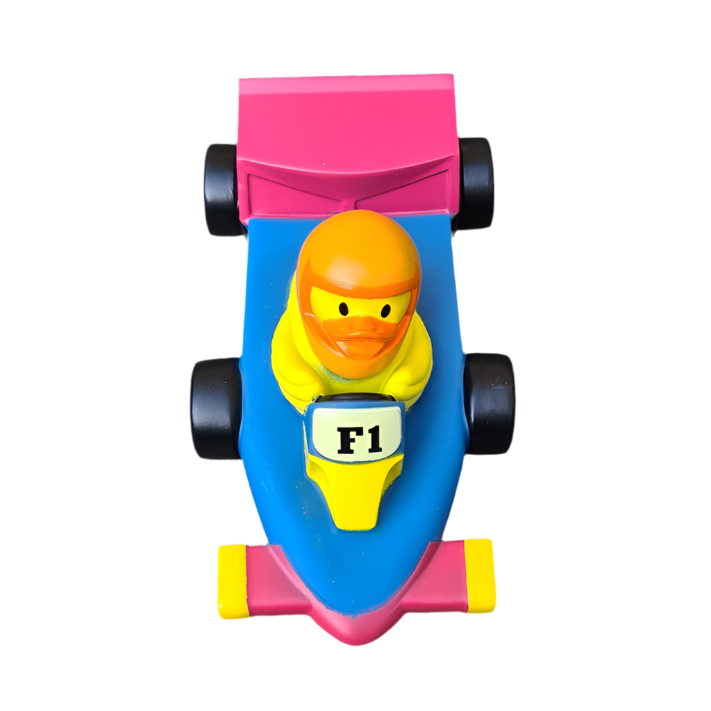Canard F1 racing car