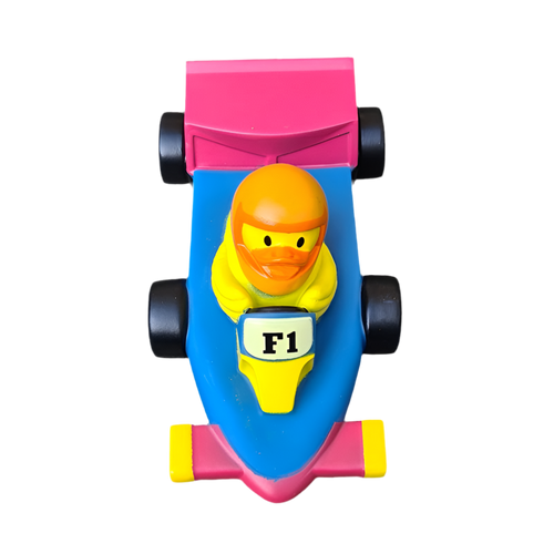 Canard F1 racing car