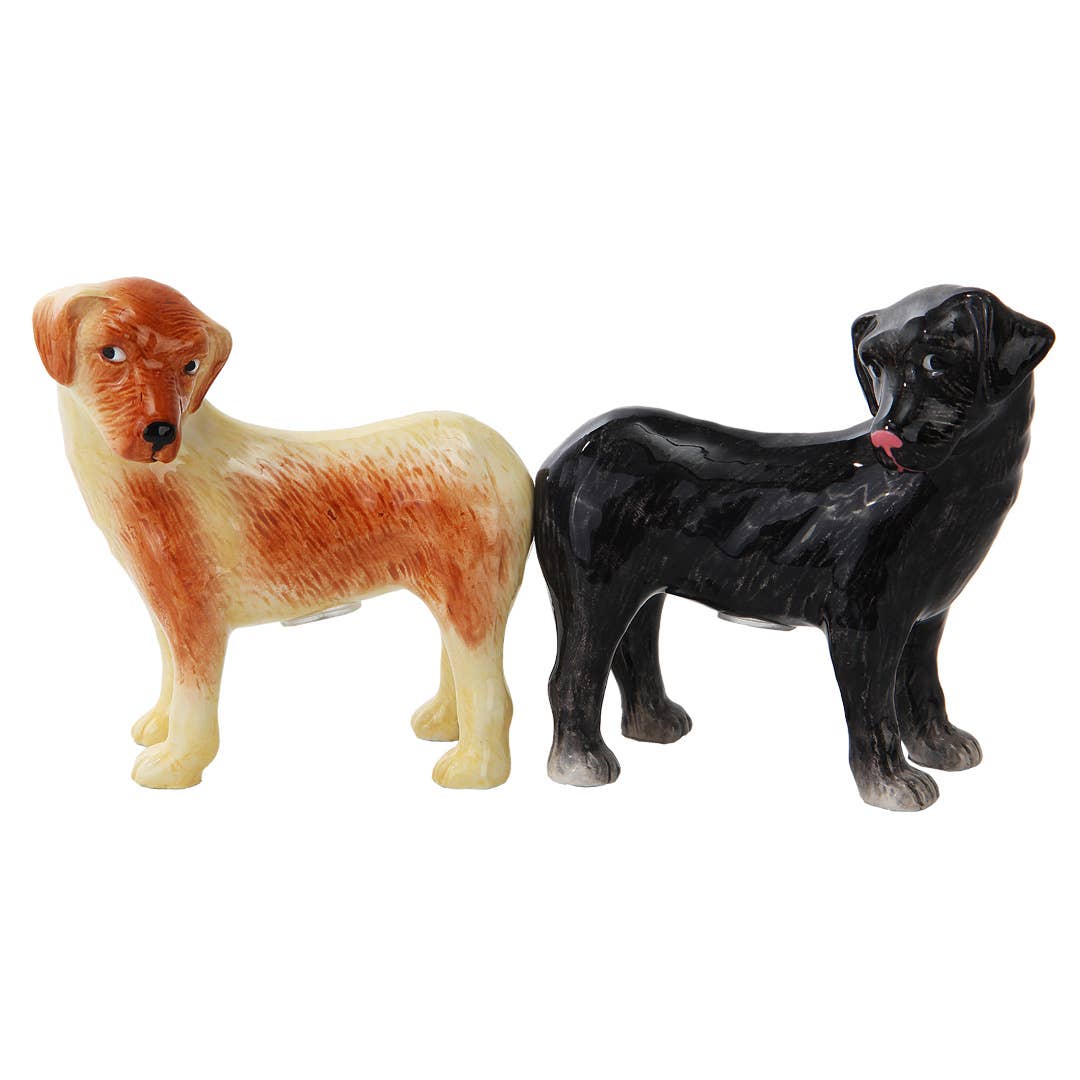 Sel et poivre Labradors