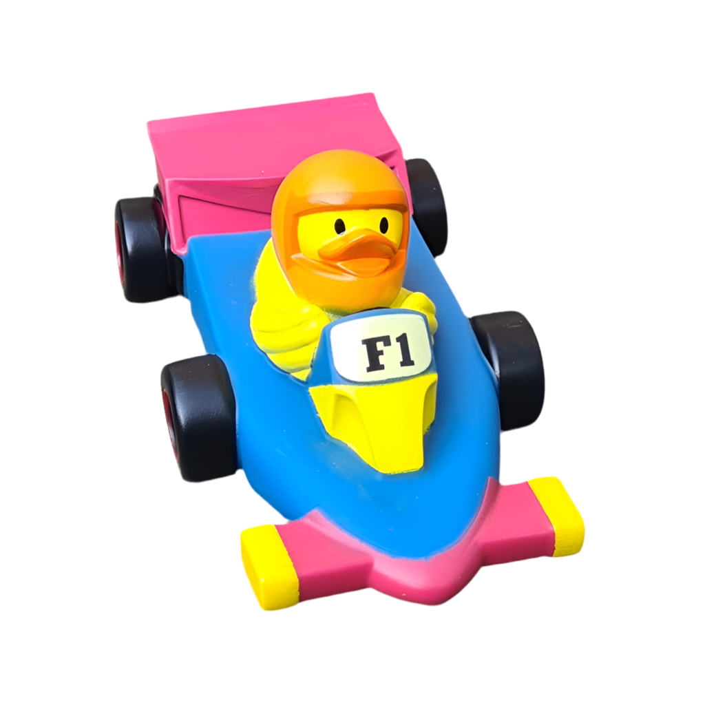 Canard F1 racing car