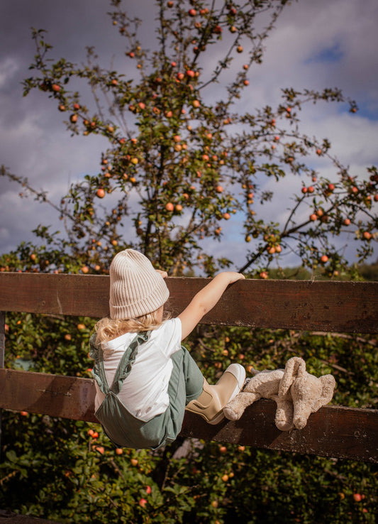 Animal en peluche Éléphant petit | lin