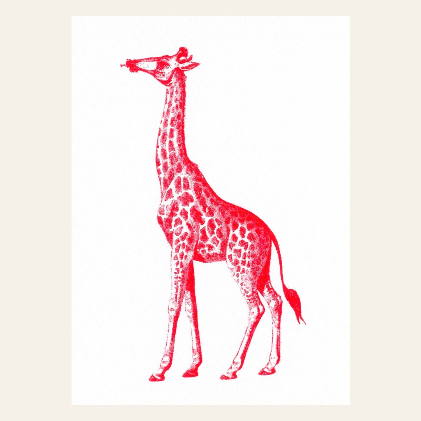 Red Giraffe Postcard