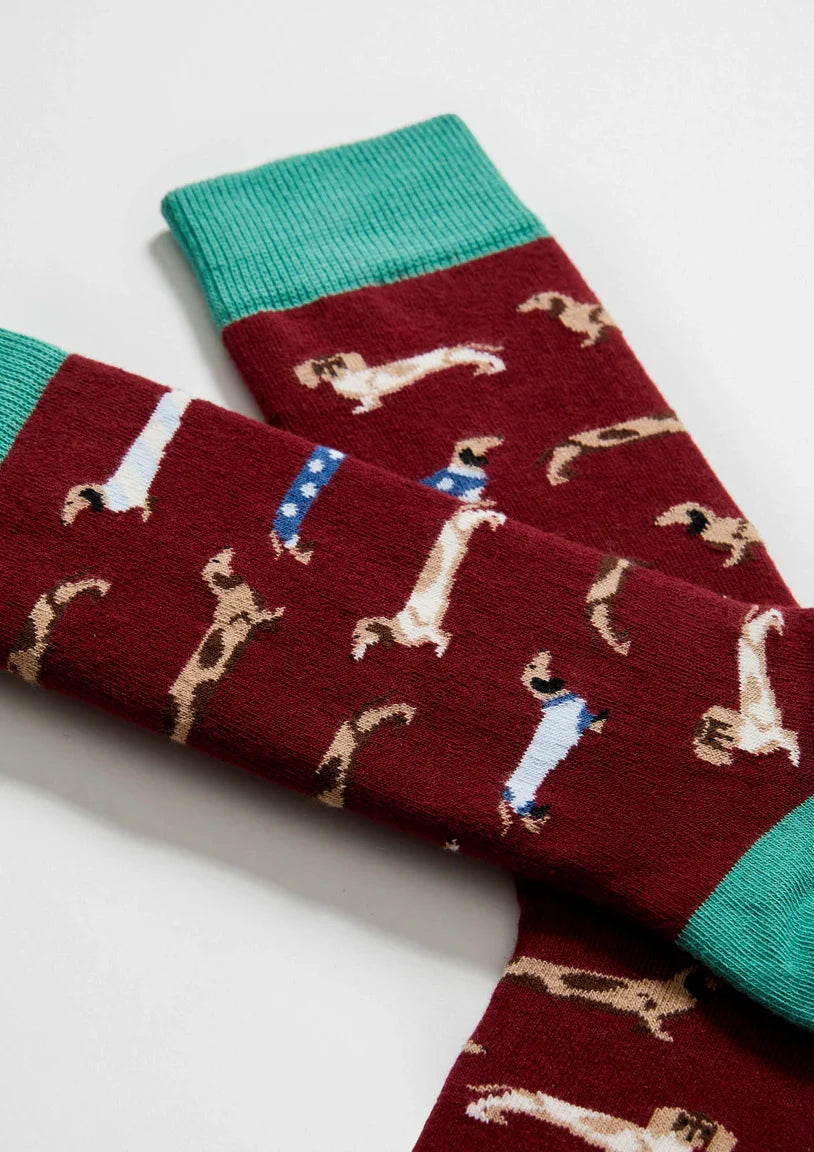 Chaussettes BePets - Teckels