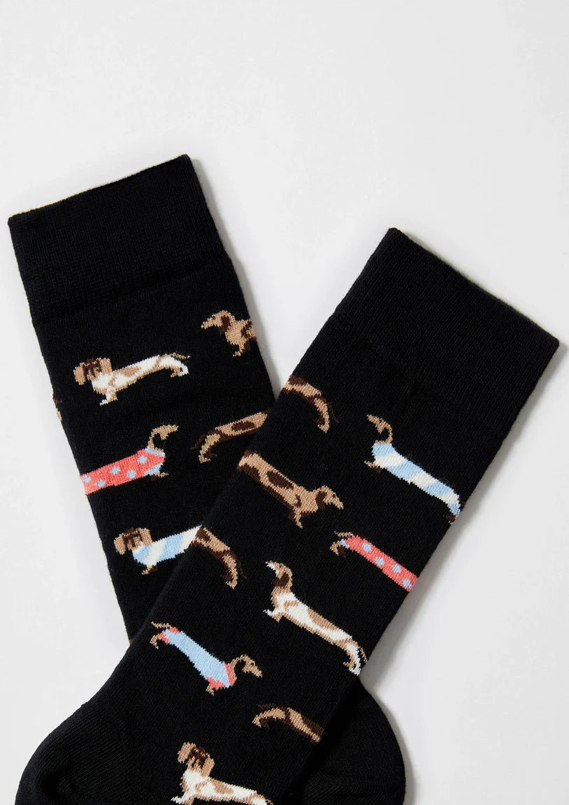 Chaussettes BePets - Teckels
