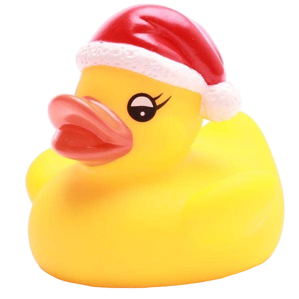 Kleine Weihnachtsente