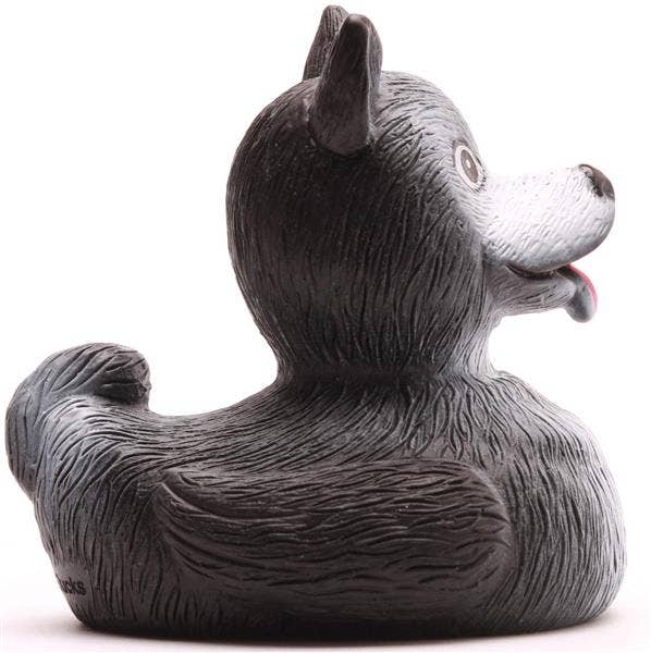 Canard Husky