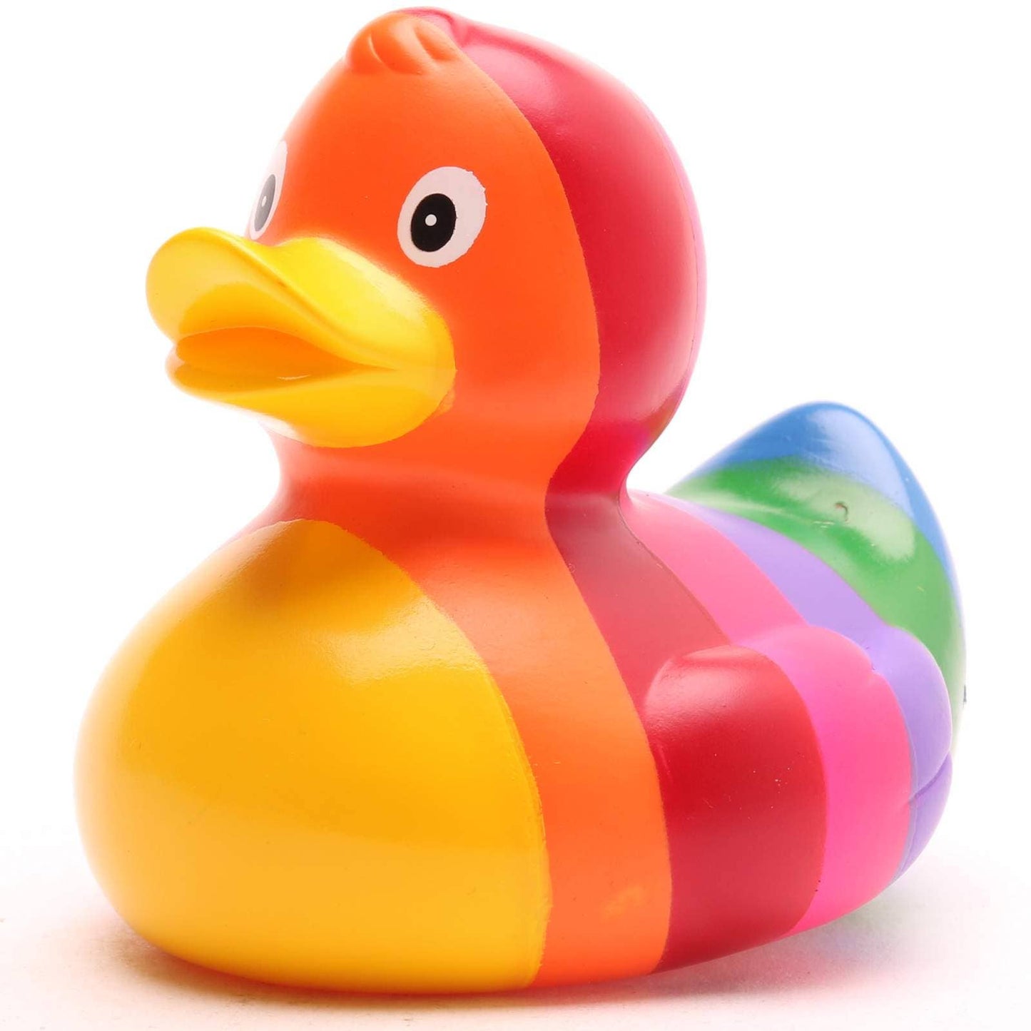 Regenbogenente