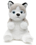 Husky, assis, style kawaii, doudou ou en peluche Uni Toys
