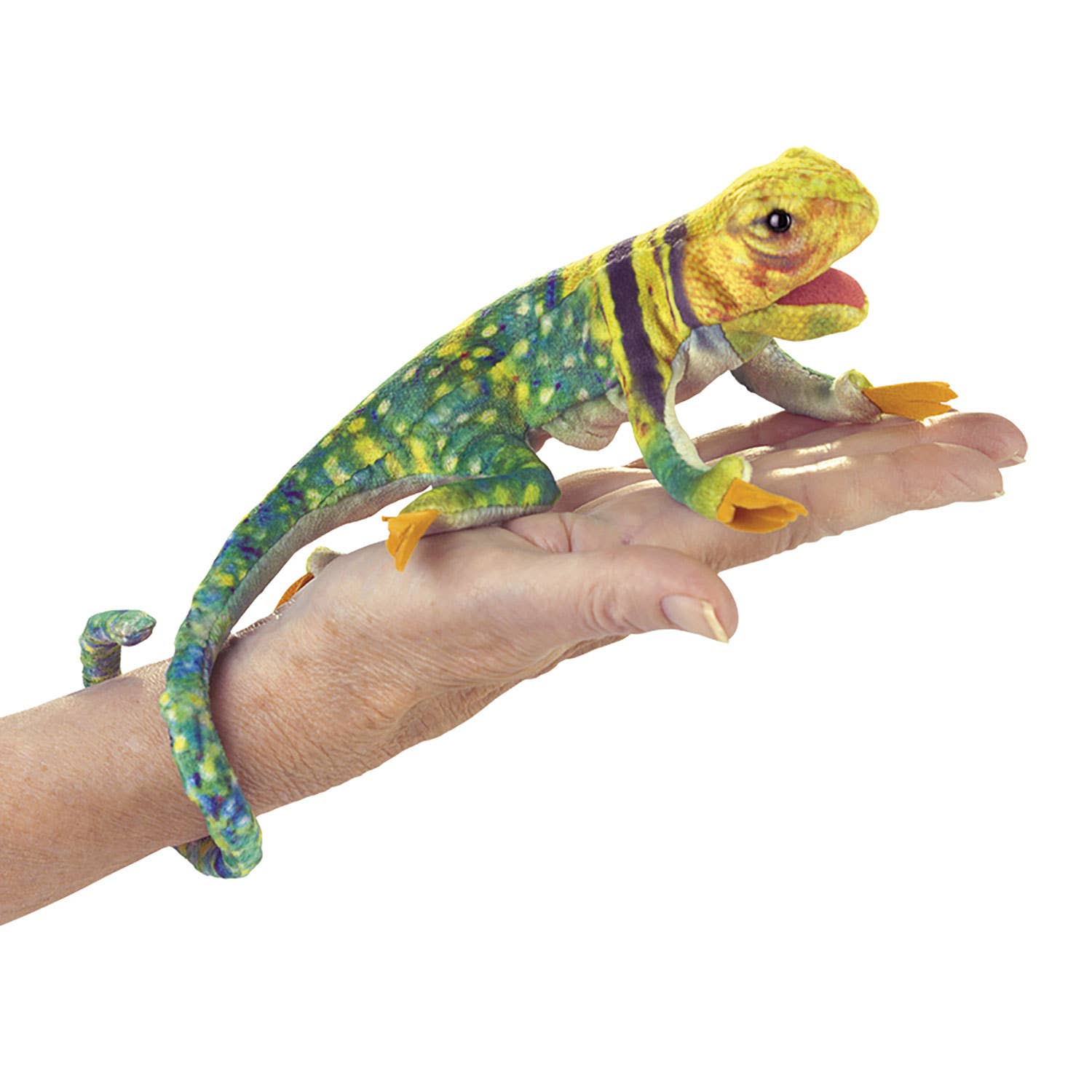 Marionnette à main Mini lézard à collier/Mini lézard 2798 Folkmanis réaliste