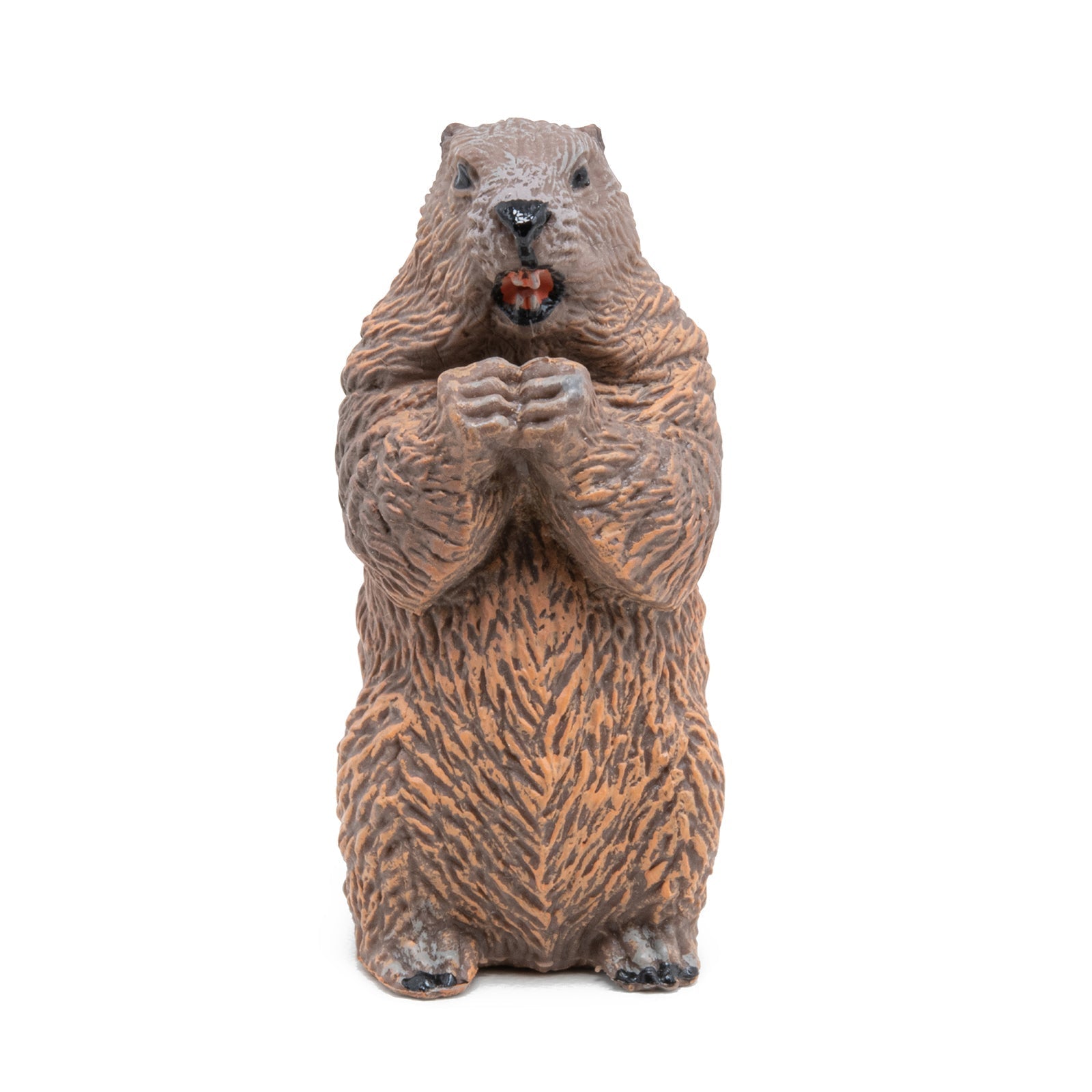 Figurine Marmotte Papo - animal sauvage