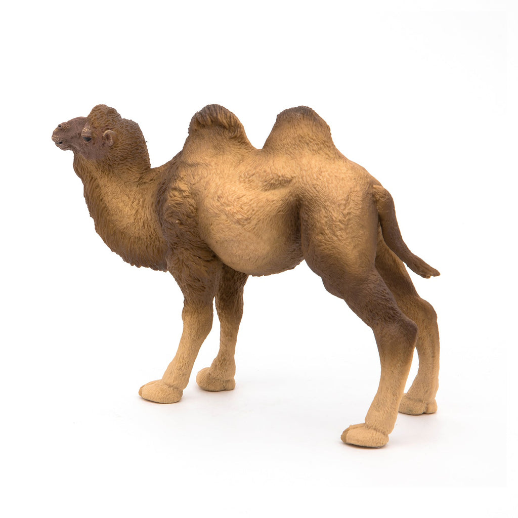 Figurine Chameau de Bactriane Papo - animal sauvage