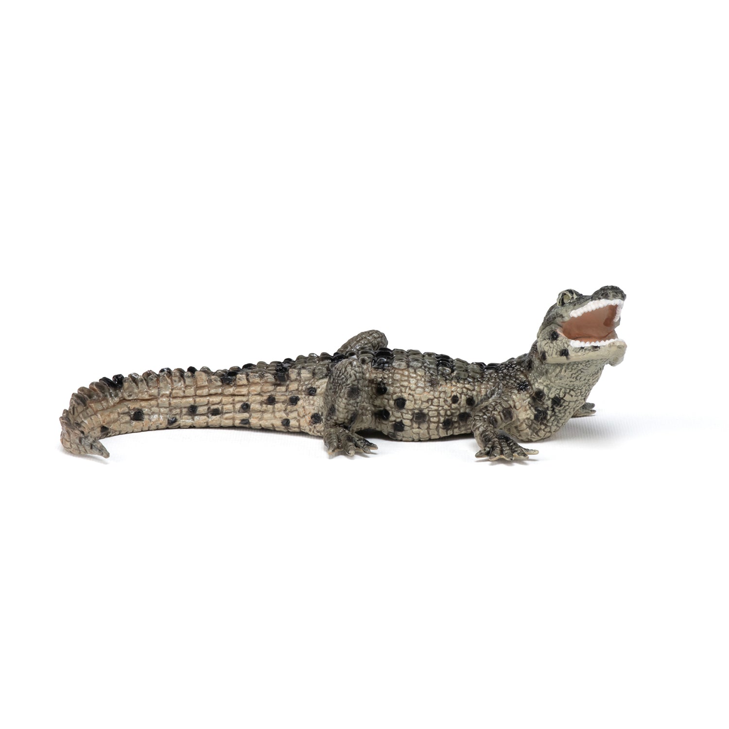 Figurine Bébé crocodile Papo - animal sauvage