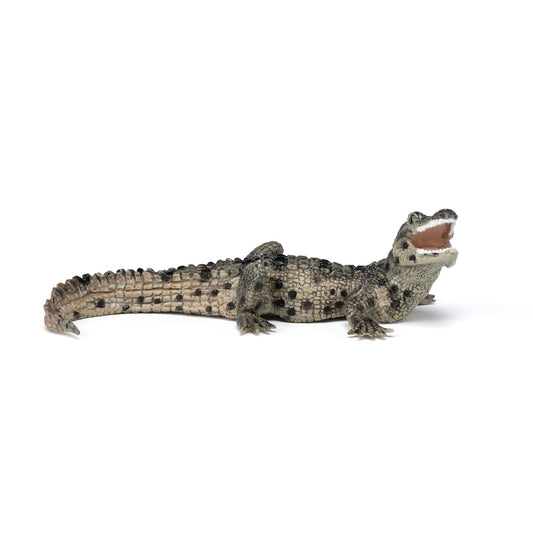 Figurine Bébé crocodile Papo - animal sauvage