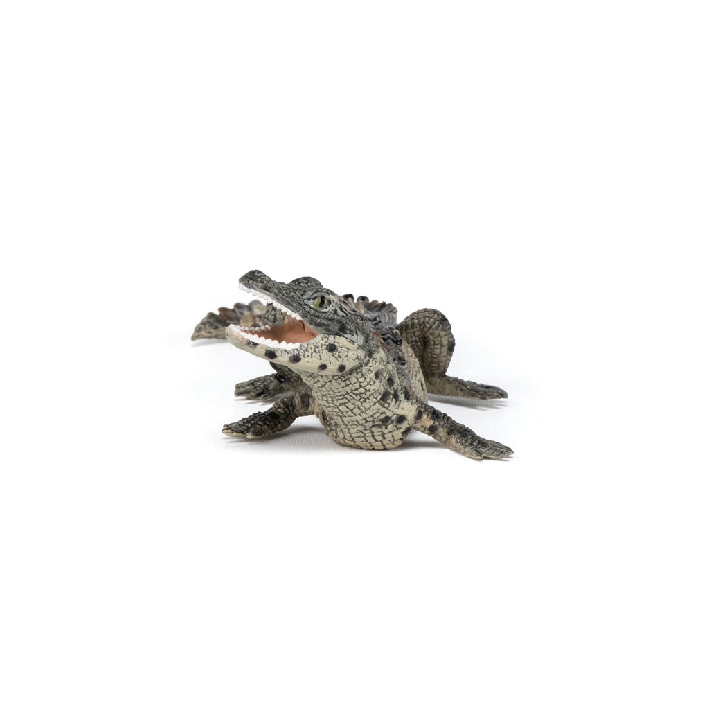 Figurine Bébé crocodile Papo - animal sauvage