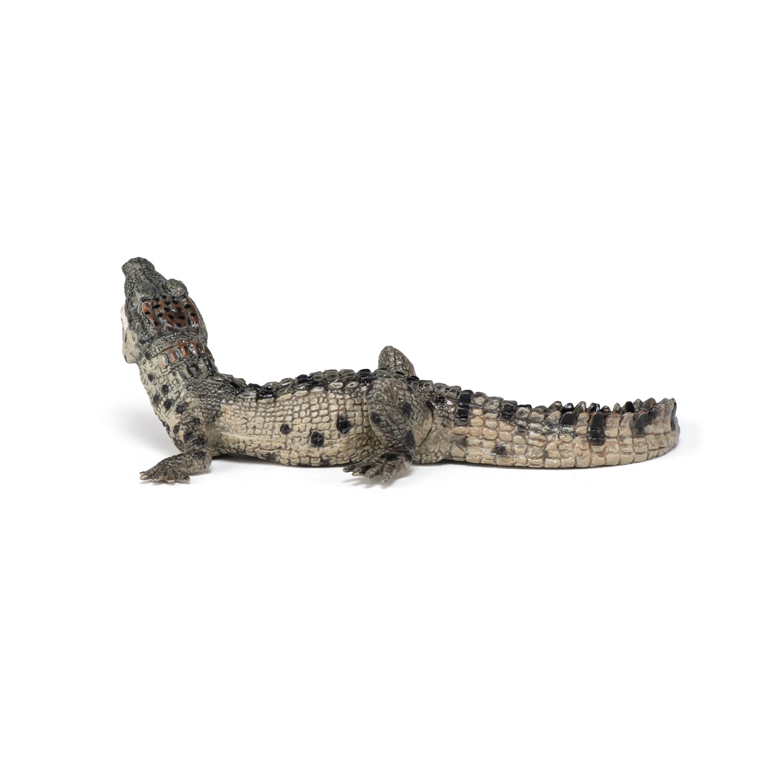 Figurine Bébé crocodile Papo - animal sauvage