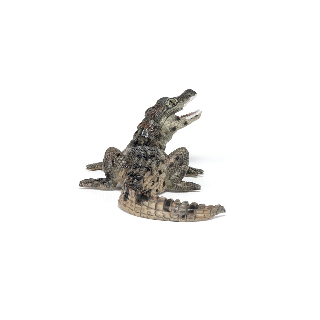 Figurine Bébé crocodile Papo - animal sauvage