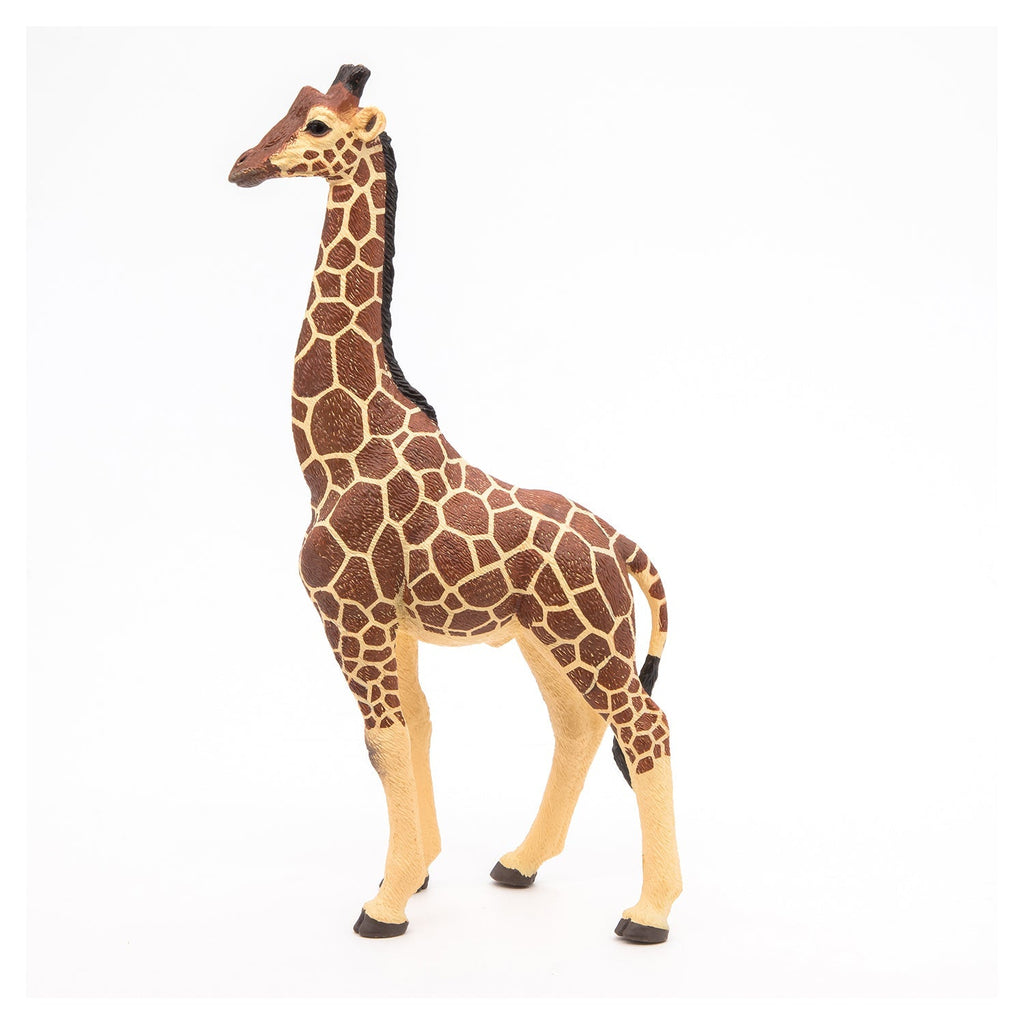 Figurine Girafe mâle Papo - animal sauvage