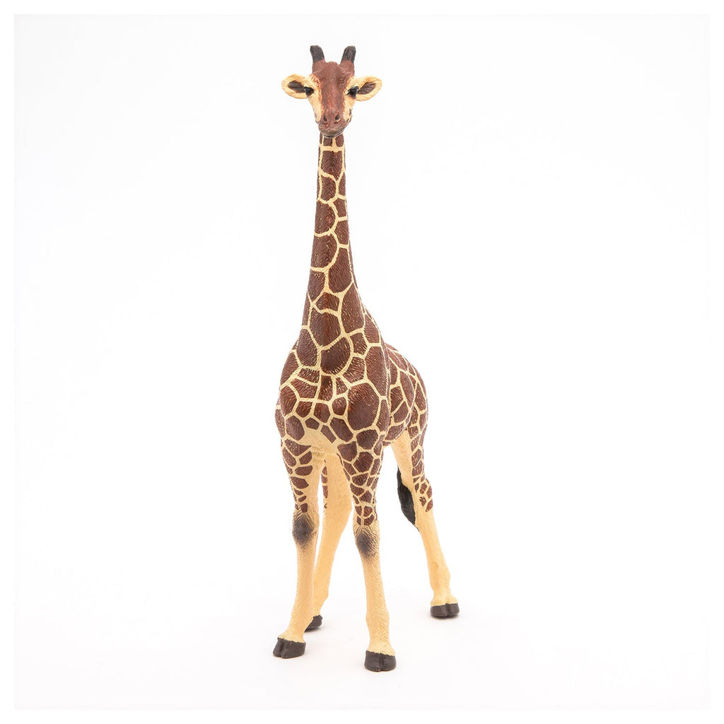 Figurine Girafe mâle Papo - animal sauvage