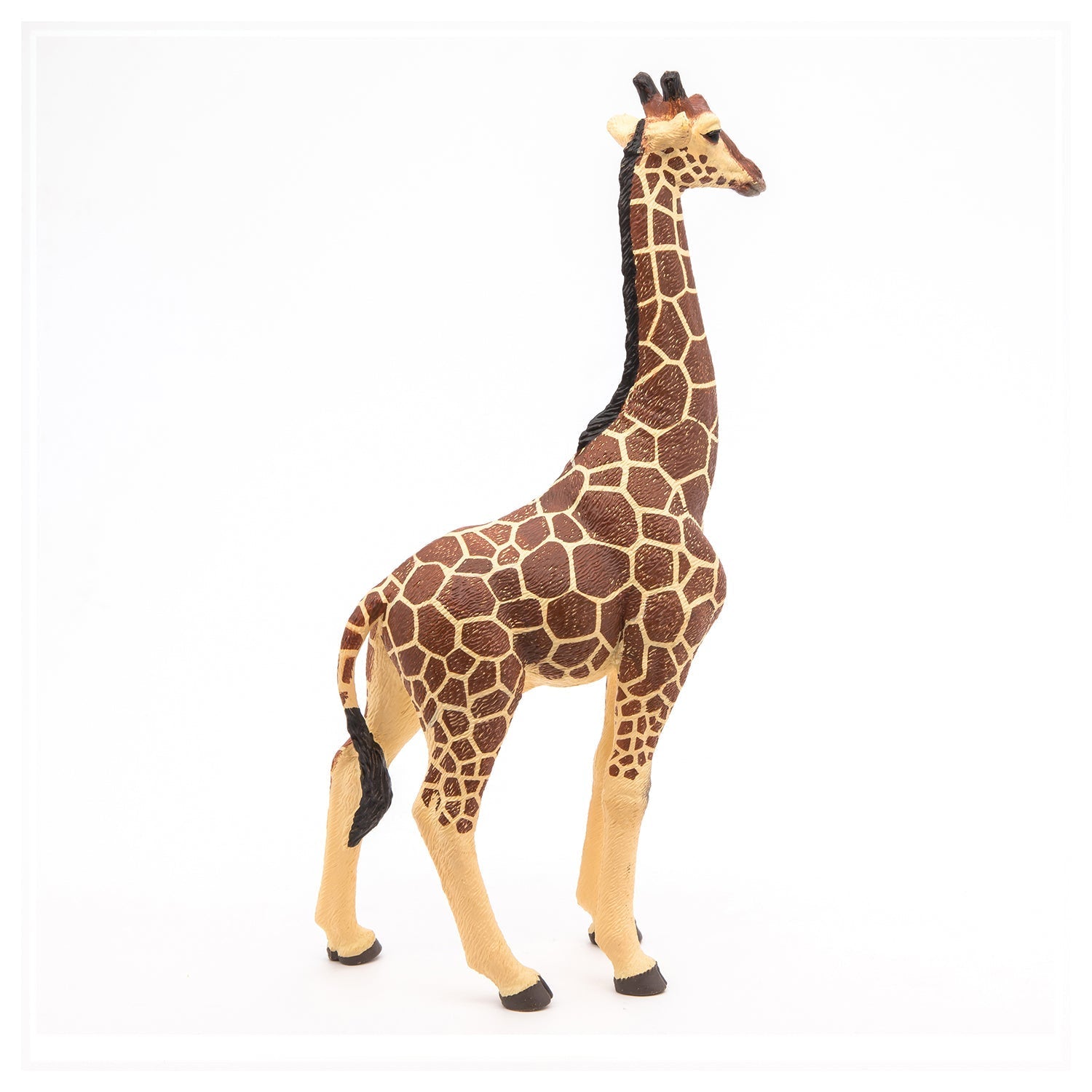 Figurine Girafe mâle Papo - animal sauvage