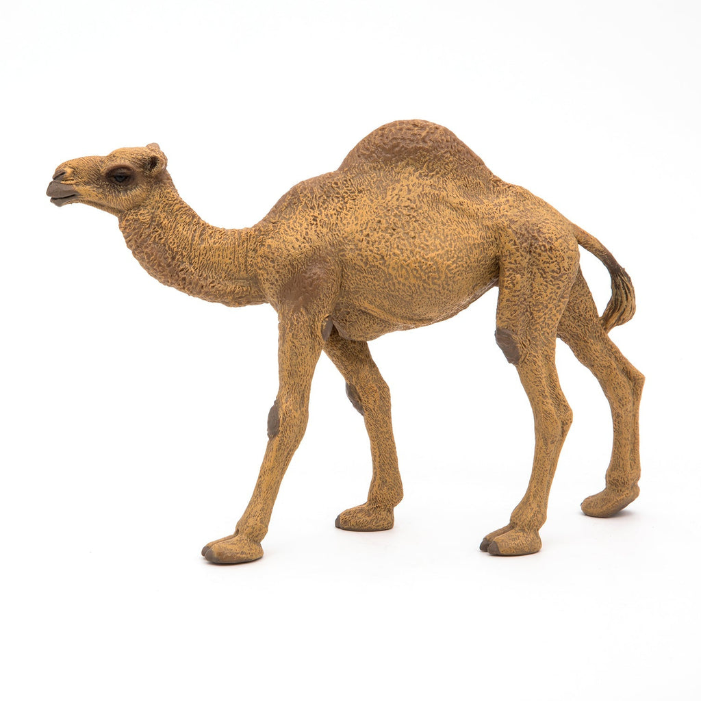 Figurine Dromadaire Papo - animal sauvage