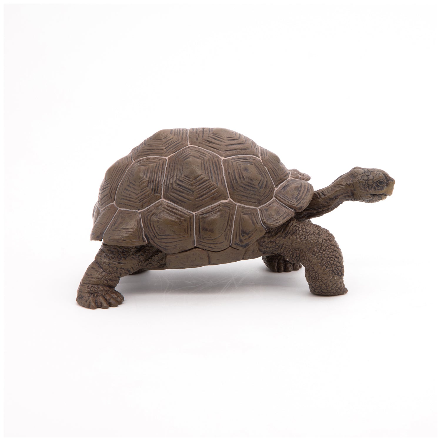 Figurine Tortue des Galápagos Papo - animal sauvage