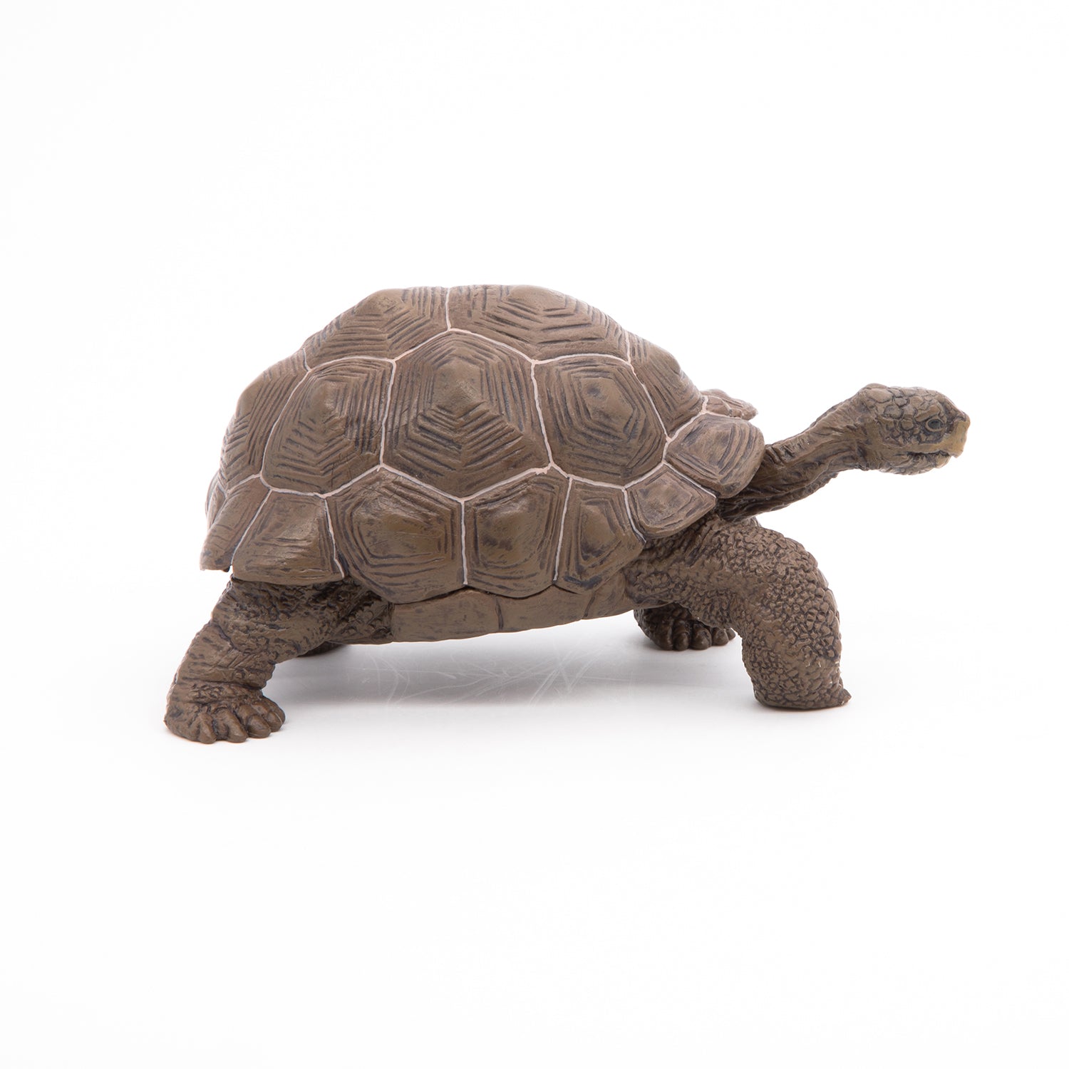 Figurine Tortue des Galápagos Papo - animal sauvage