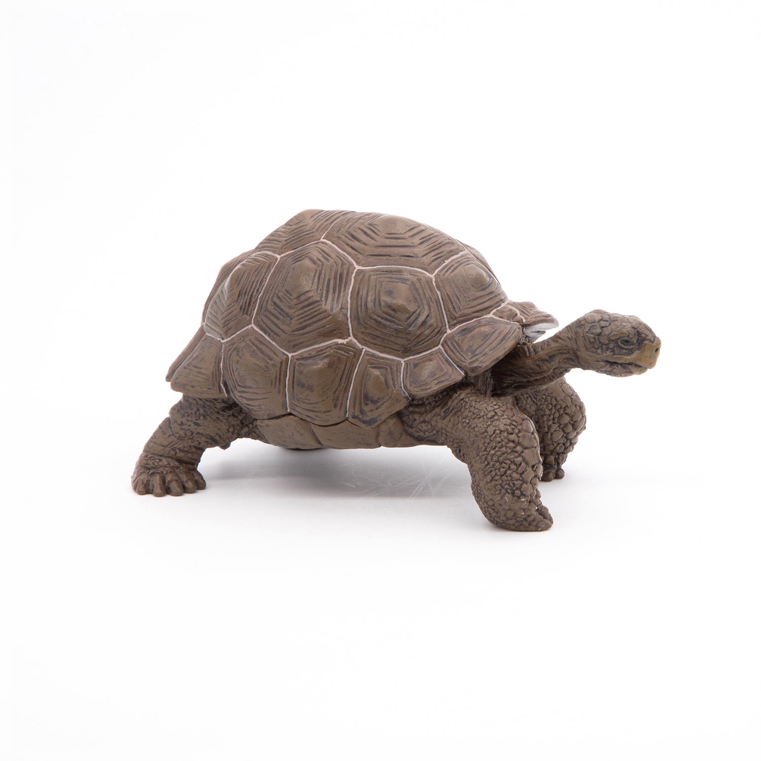 Figurine Tortue des Galápagos Papo - animal sauvage